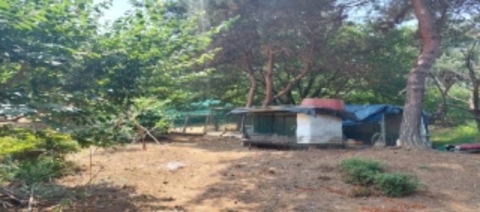 목록4 토지 일부 전경