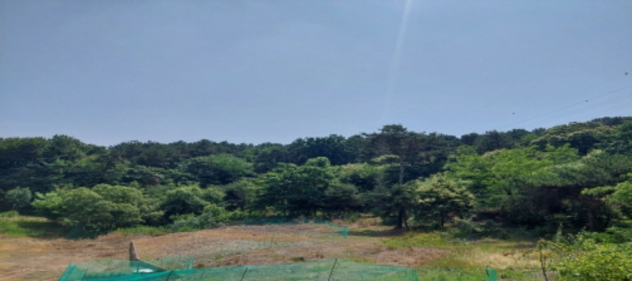 목록4 토지 일부 원경