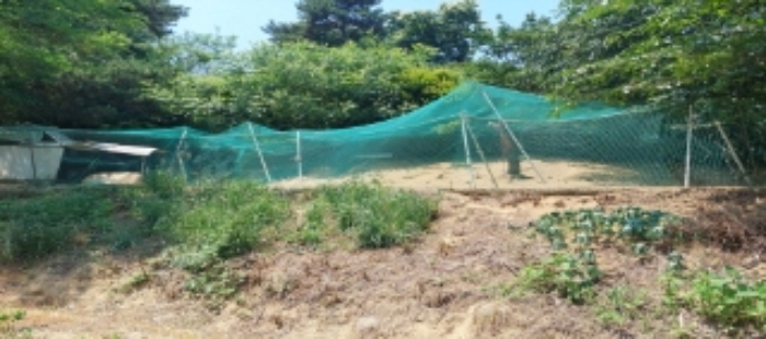 목록4 토지 일부 전경