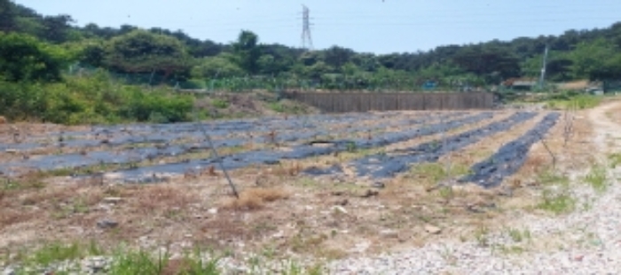 목록1 토지 일부 전경