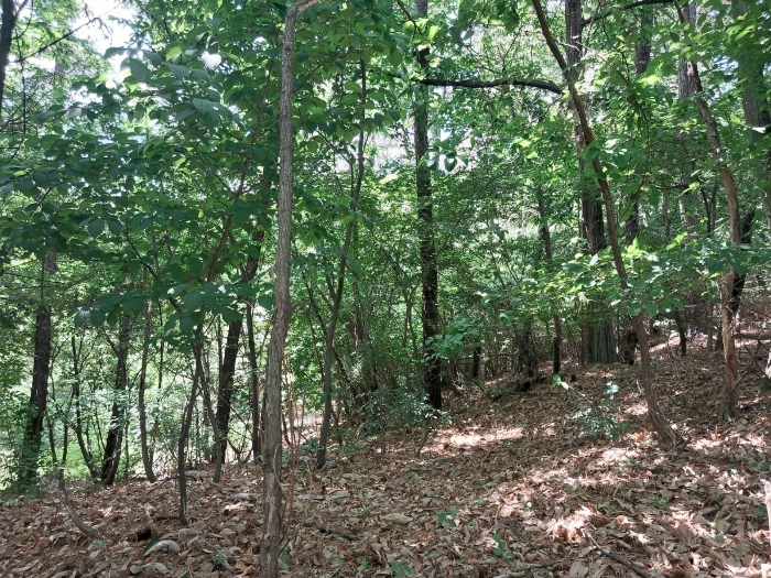 기호2, 3전경(북동측)