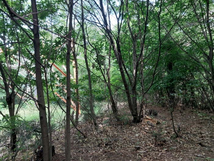 기호2, 3전경(남서측)