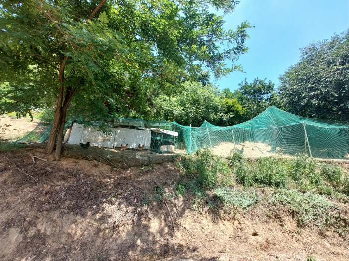 계사(타인소유)