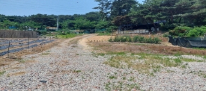 목록1 토지 일부 전경