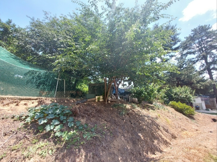 계사(타인소유)