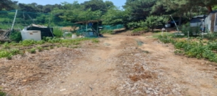 목록1 토지 일부 전경