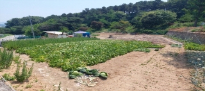 목록1 토지 일부 전경