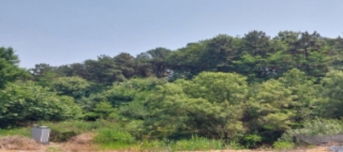 목록4 토지 일부 전경