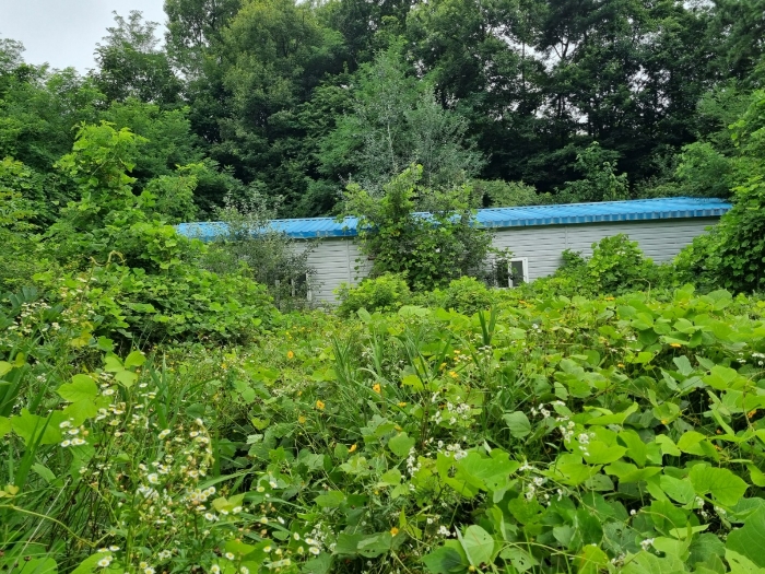 12동 건물 및 양교리 751-6 토지