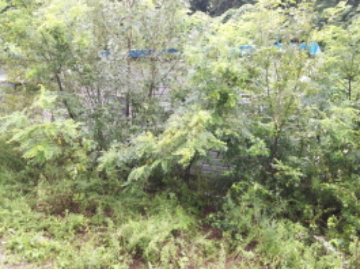 * 본건 목적물6. - 14. 전경