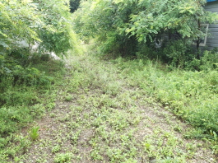 * 본건 목적물6. - 14. 전경