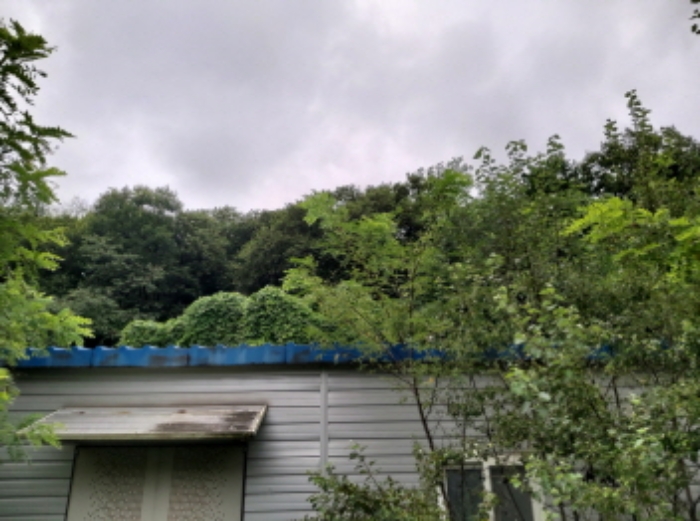 * 본건 목적물6. - 14. 전경