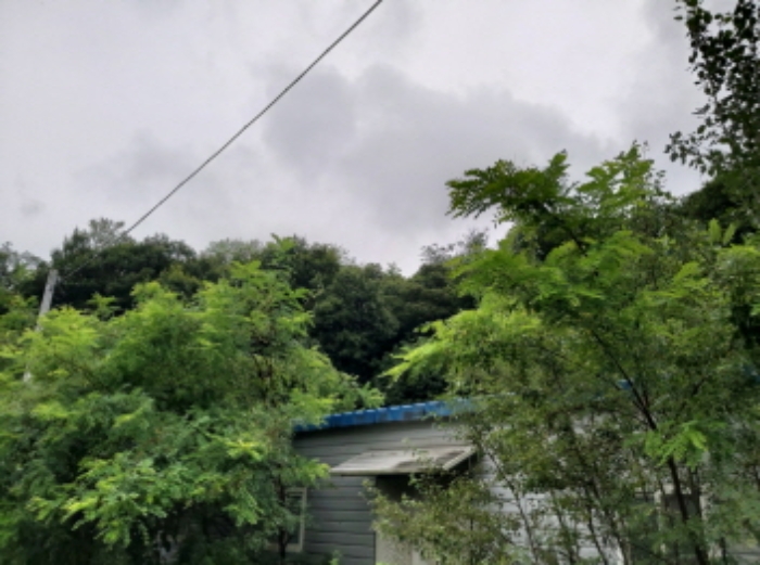 * 본건 목적물6. - 14. 전경