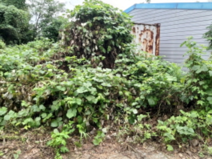 * 본건 목적물7. 소재 제시외 콘테이너 박스 전경