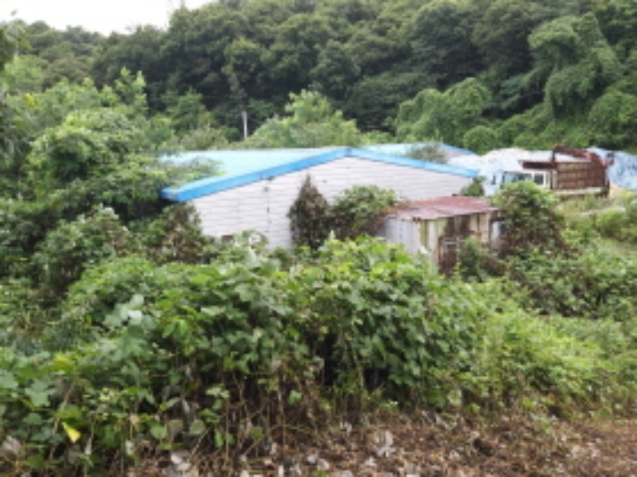 * 본건 목적물6. - 14. 전경