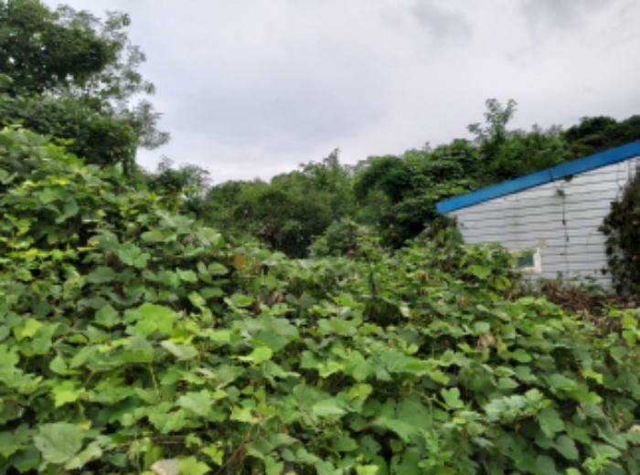 * 본건 목적물6. - 14. 전경