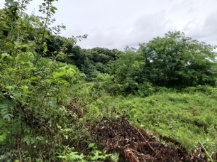 * 본건 목적물4. 5. 전경