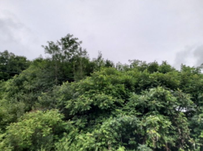 * 본건 목적물4. 5. 전경