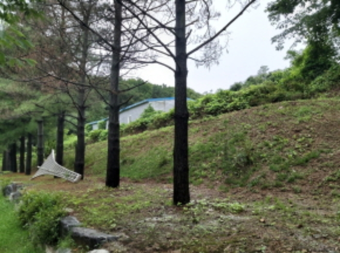 * 본건 목적물6. - 14. 전경