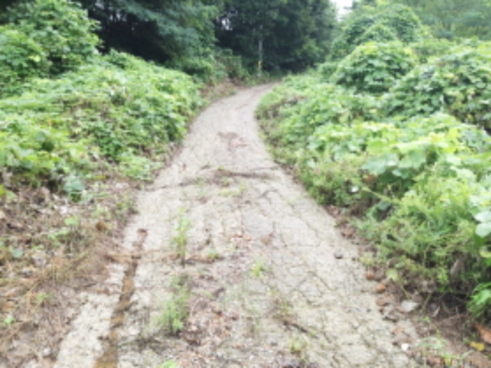 * 본건 목적물1. 전경