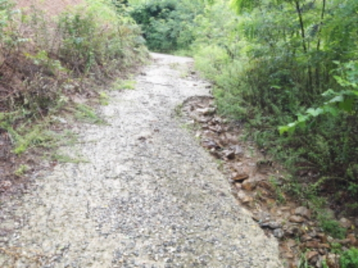 * 본건 목적물1. 전경