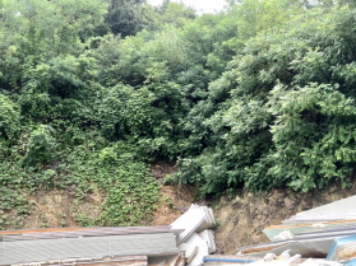 * 본건 목적물2. 3. 전경