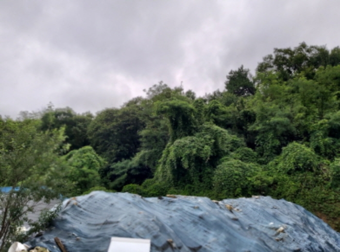 * 본건 목적물2. 3. 전경