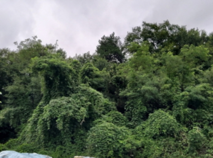 * 본건 목적물2. 3. 전경