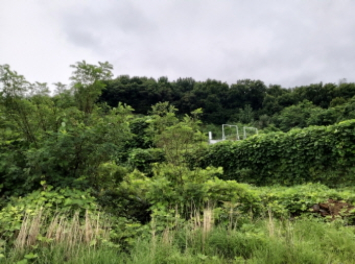 * 본건 목적물4. 5. 전경