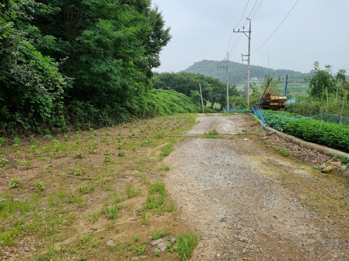 양교리 751-19 진입로 부분
