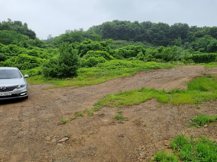 양교리 751-19 진입로 부분
