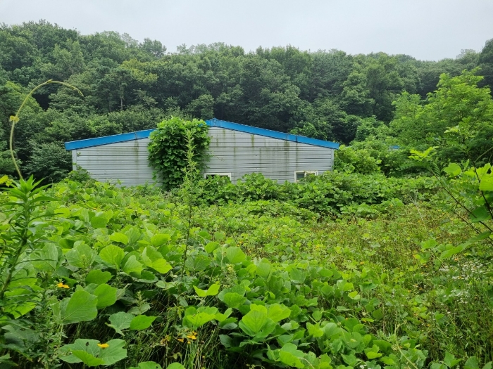 12동 건물 및 양교리 751-6 토지