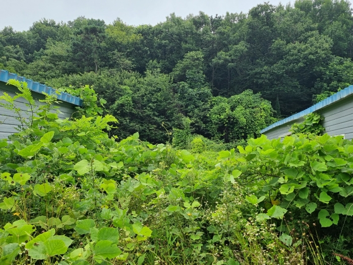 10동, 12동 건물 및 양교리 751-6 토지