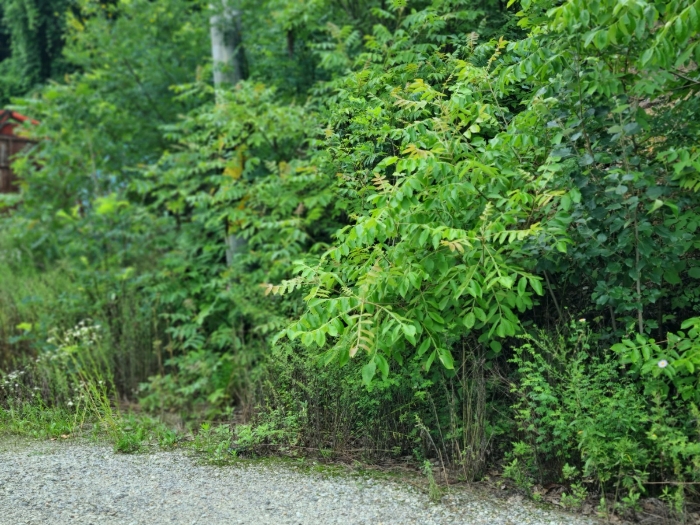기호1 토지의 남서측 일부
