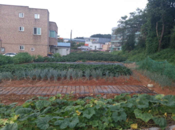 * 본건 목적물 1. 2. 전경