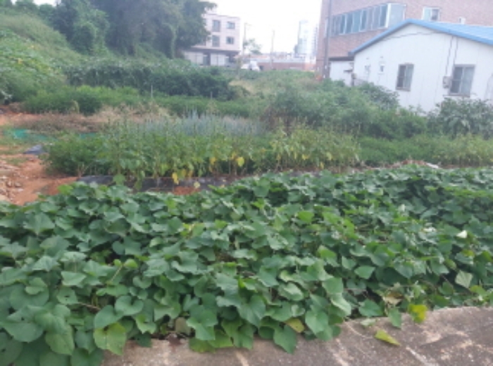 * 본건 목적물 1. 2. 전경