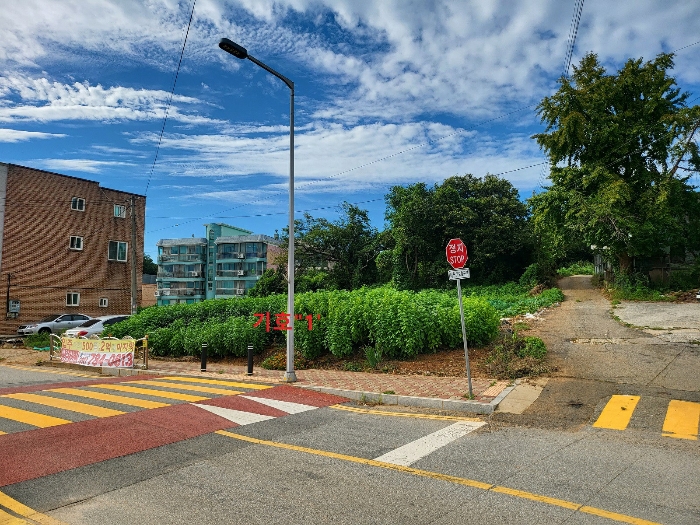 본 건 기호"1" 전경(남동측에서 촬영)