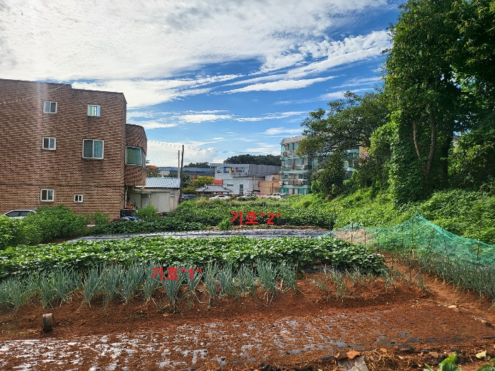 본 건 근경(동측에서 촬영)
