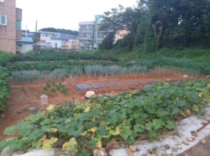 * 본건 목적물 1. 2. 전경