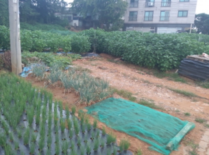 * 본건 목적물 1. 2. 전경