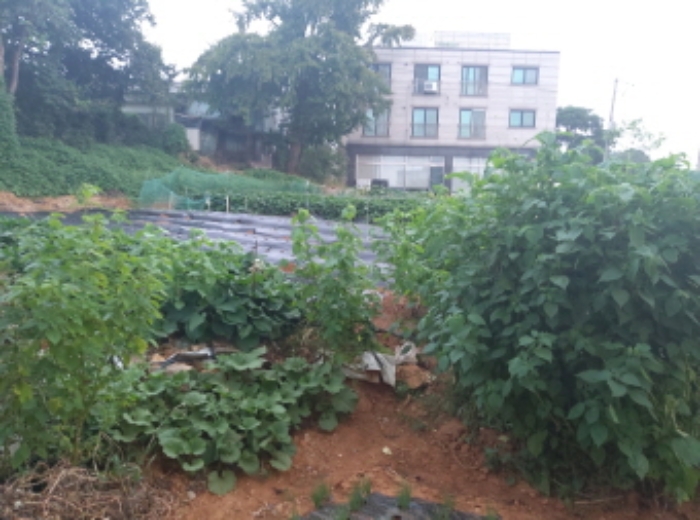 * 본건 목적물 1. 2. 전경