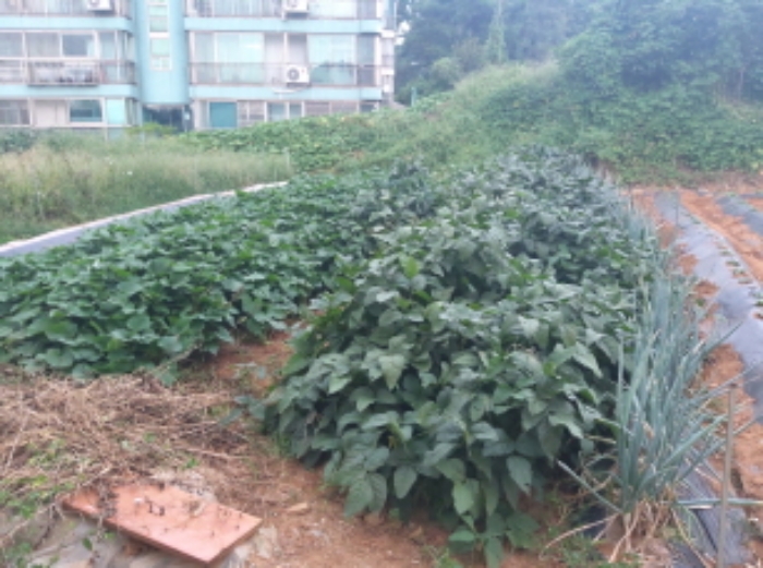 * 본건 목적물 1. 2. 전경