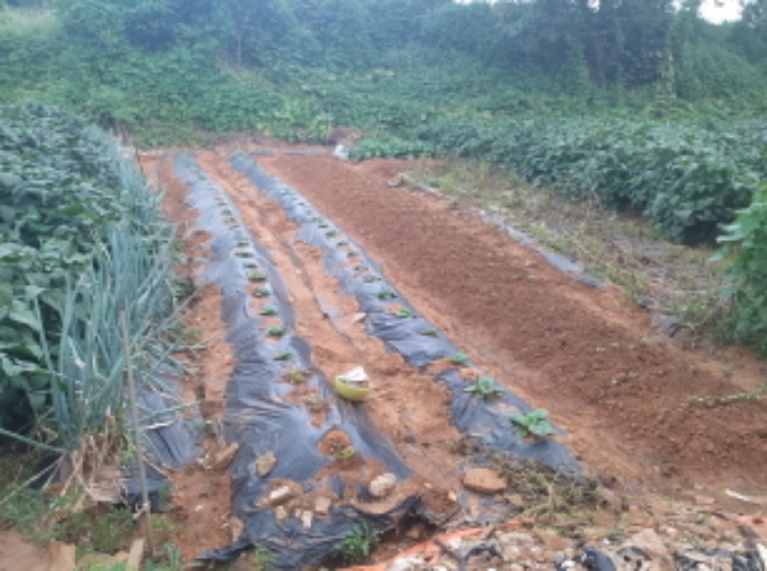 * 본건 목적물 1. 2. 전경