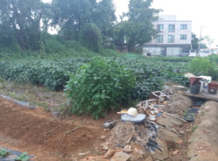 * 본건 목적물 1. 2. 전경