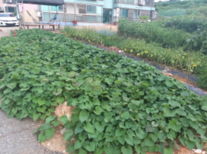 * 본건 목적물 1. 2. 전경