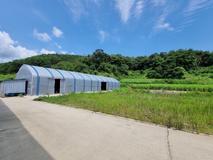 일련번호(1),(2),(10) 전경