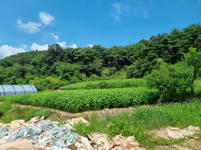 일련번호(3) 전경