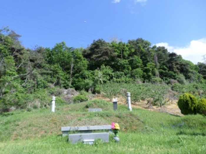 근접촬영(분묘등)