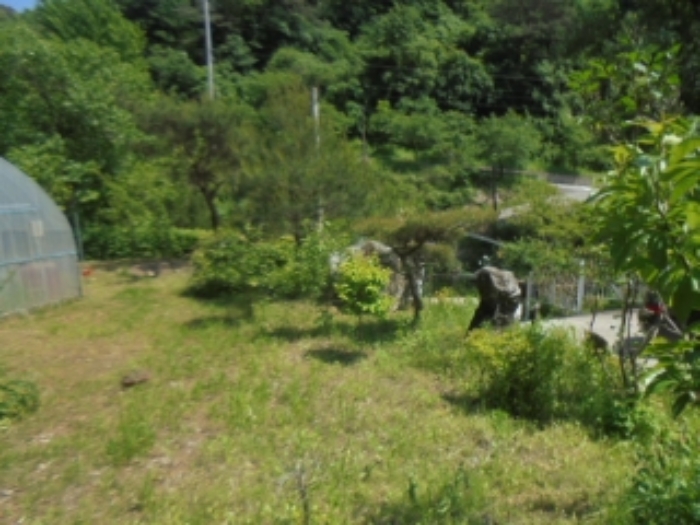 목적물 6번조경수, 유실수