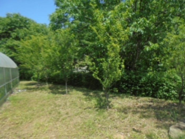 목적물 6번에 유실수